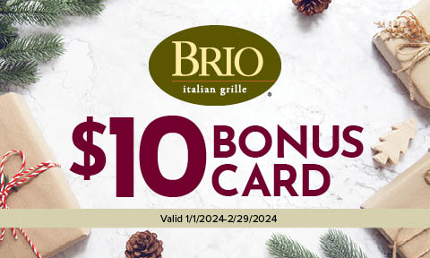 Brio - the zesty” oven you were looking for!